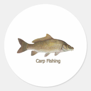 Sticker Rond Pêche de carpe