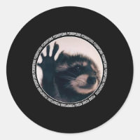 Pedro Funny Raccoon Dancing Meme