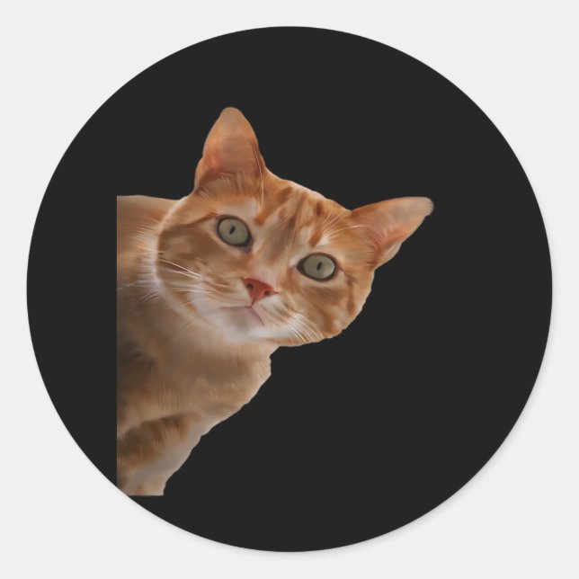 Sticker Rond Peekaboo- Peinture (Devant)