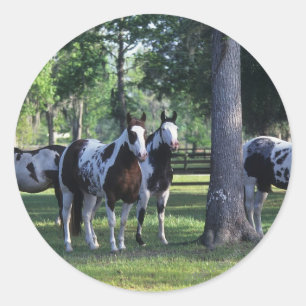 Sticker Rond Peignez les chevaux dans les arbres