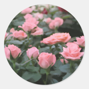 Sticker Rond Peinture à fleur numérique rose mini Rose