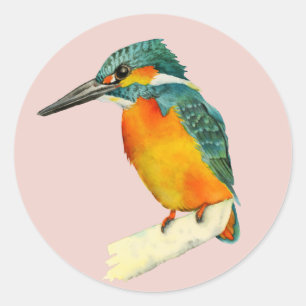 Sticker Rond Peinture à l'aquarelle Kingfisher Bird