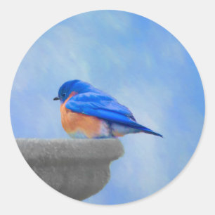 Sticker Rond Peinture Bluebird - Art original pour oiseaux