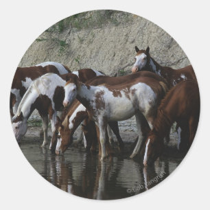 Sticker Rond Peinture Chevaux Boire