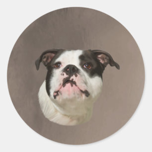 Sticker Rond Peinture couleur d'eau Bulldog