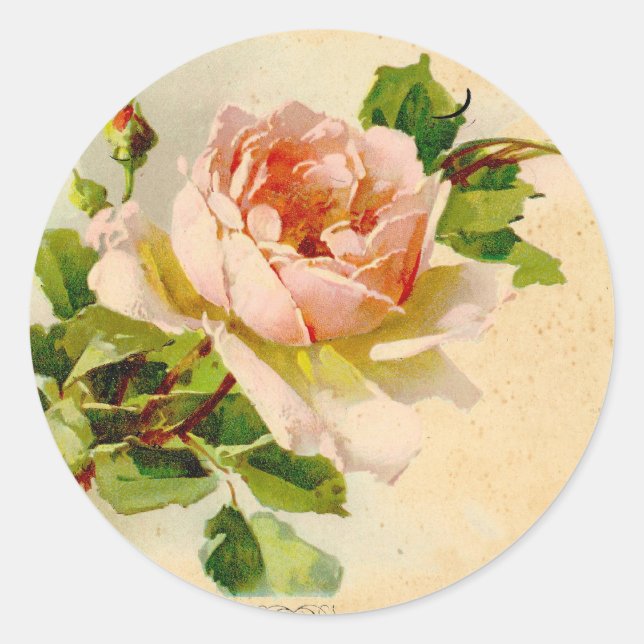 Sticker Rond Peinture d'aquarelle rose Vintage Rose (Devant)