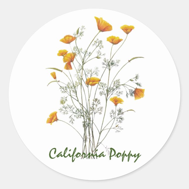Sticker Rond Peinture d'aquarelle verte jaune de la Californie (Devant)
