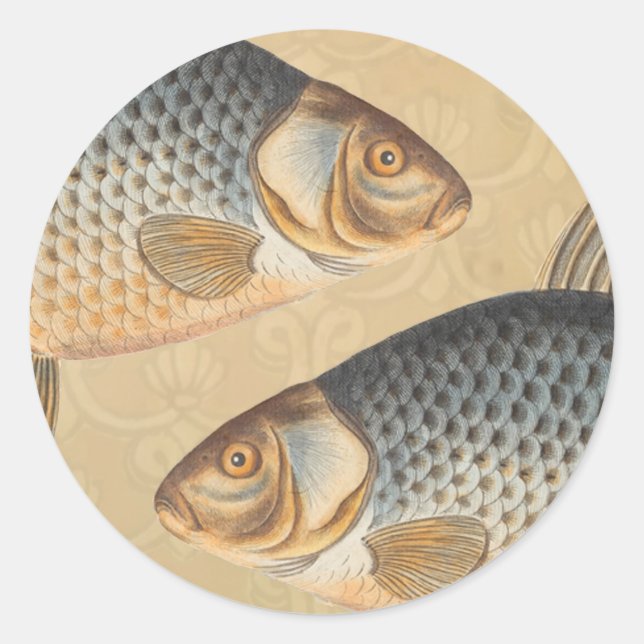 Sticker Rond peinture de pêche de carpe dessin d'eau douce  (Devant)
