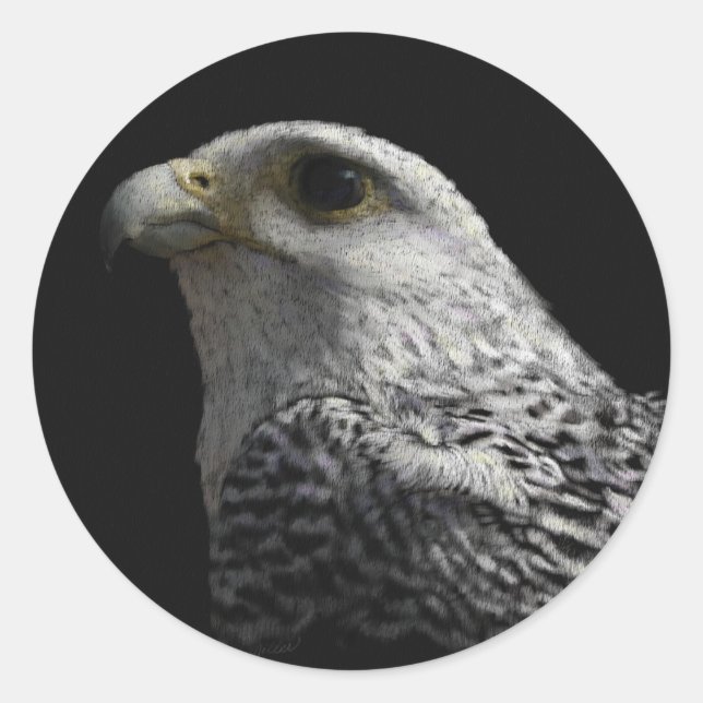 Sticker Rond Peinture de portrait de faucon arctique (Devant)