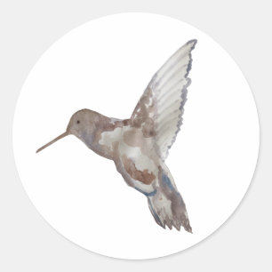 Sticker Rond Peinture d'oiseaux colibris