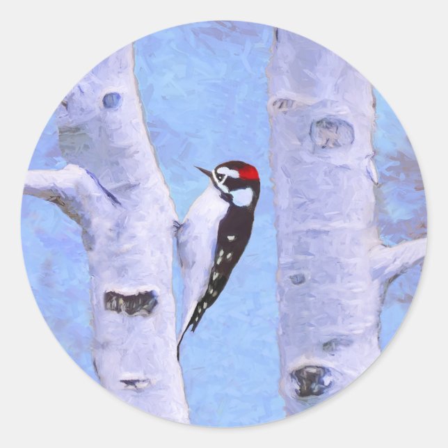 Sticker Rond Peinture Downy Woodpecker - Art original pour oise (Devant)