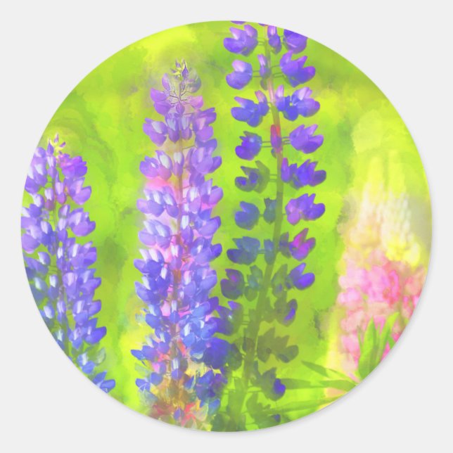 Sticker Rond Peinture Lupine - Art Fleur Original (Devant)