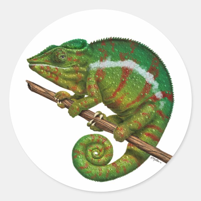 Sticker Rond Peinture numérique Panther Chameleon (Devant)
