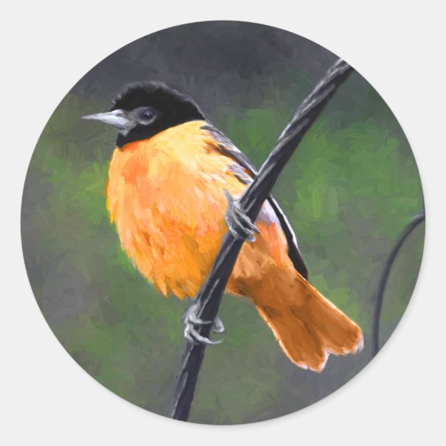 Sticker Rond Peinture Oriole - Art Oiseau Original (Devant)