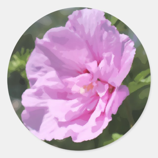 Sticker Rond Peinture rose double Hibiscus à fleurs numériques (Devant)