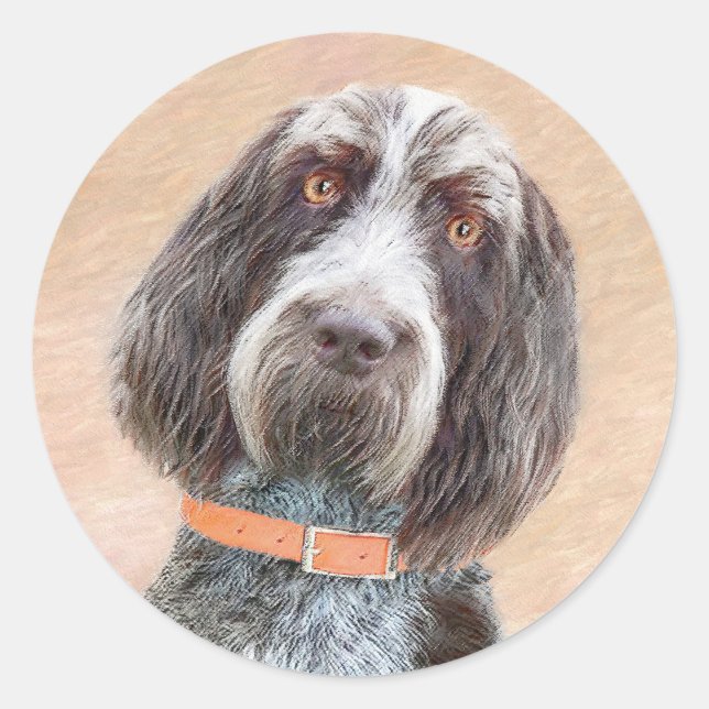 Sticker Rond Peinture Spinone Italiano - Belle Art Original Chi (Devant)