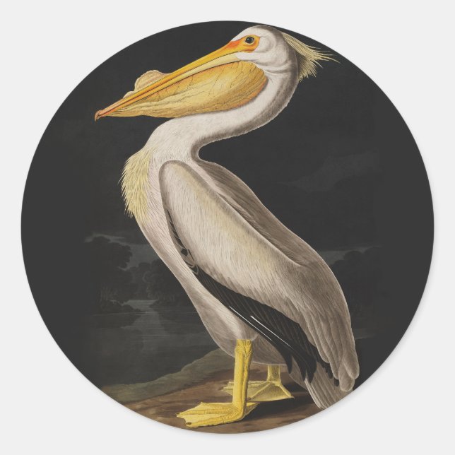 Sticker Rond Pélican blanc antique de John James Audubon côtier (Devant)