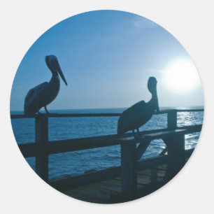 Sticker Rond Pélican bleu/Sticker