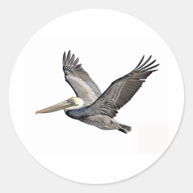 Sticker Rond Pélican clair (Devant)