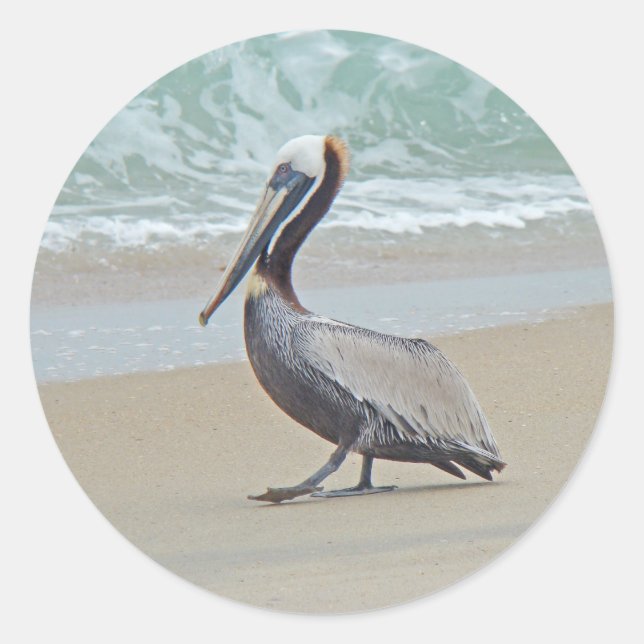 Sticker Rond Pélican sur les banques extérieures OBX NC (Devant)