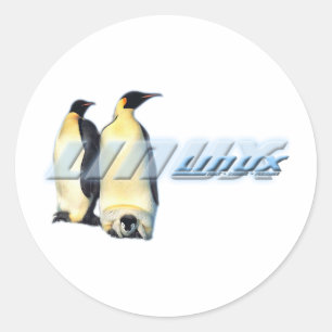 Sticker Rond Penguins Linux