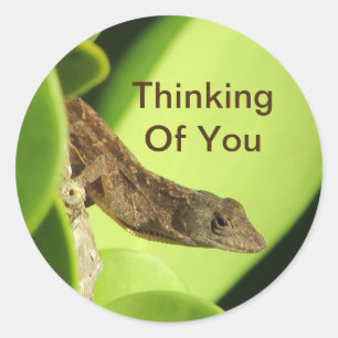 Sticker Rond Penser À Vous Mignonne Reptile Amitié Gecko