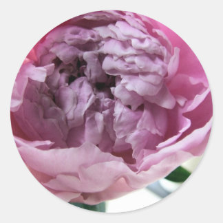 Sticker Rond Peony