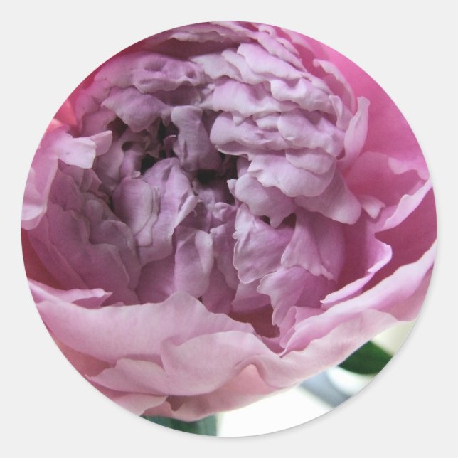 Sticker Rond Peony (Devant)