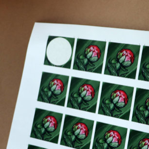 Sticker Rond Peony Flower Peoners Gardener art rose