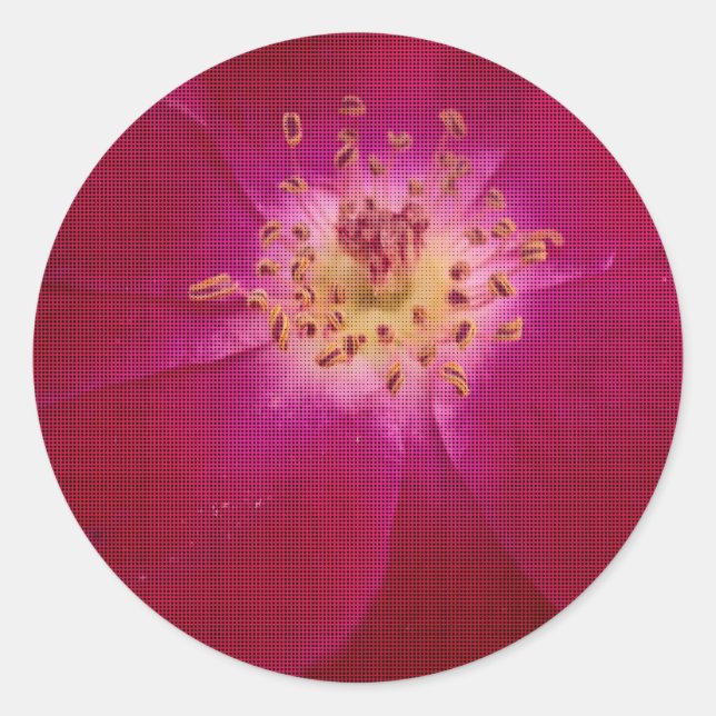 Sticker Rond Perfection pétale : À damiers Rose Art Motif pétal (Devant)