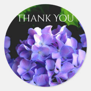Sticker Rond Périwinkel hydrangeas violet bleu fleur floral