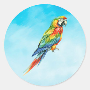 Sticker Rond Perroquet