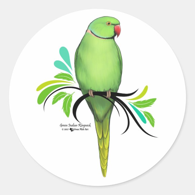 Sticker Rond Perroquet indien vert (Devant)