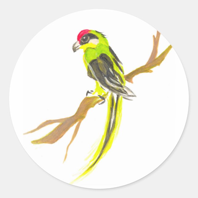 Sticker Rond Perroquet sur une branche. Peinture aquarelle. Art (Devant)