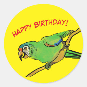 Sticker Rond perroquet vert