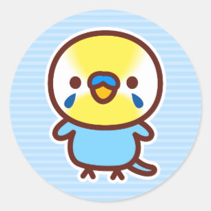 Sticker Rond Perruche / Arc-en-ciel pastel mâle