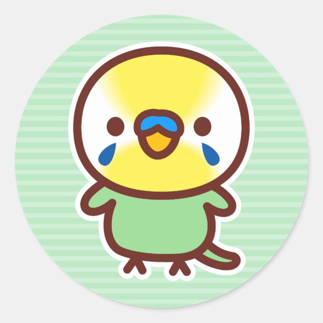 Sticker Rond Perruche / Pastel arc-en-ciel vert mâle (Devant)