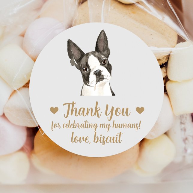 Sticker Rond Personnalisé Boston Terrier Chien Mariage Faveur S (Créateur téléchargé)