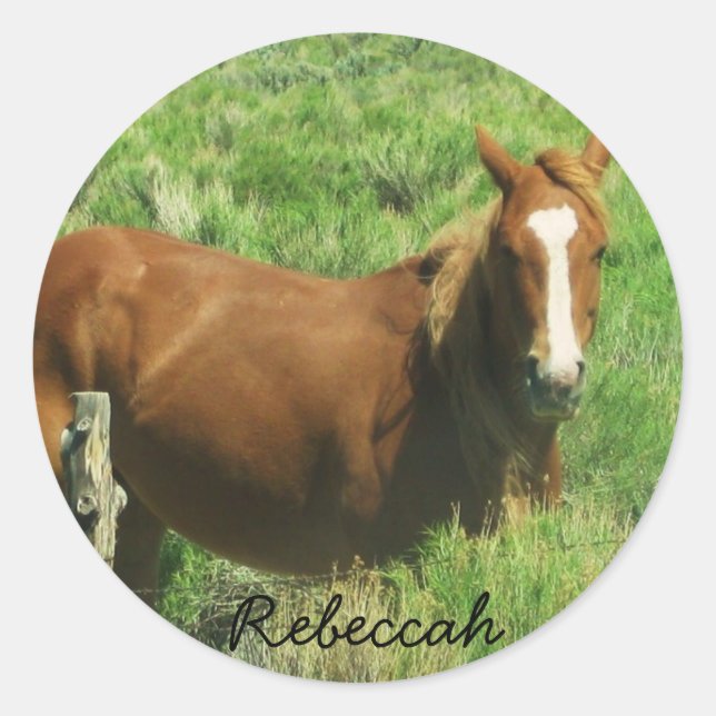 Sticker Rond Personnaliser le cheval de nom (Devant)