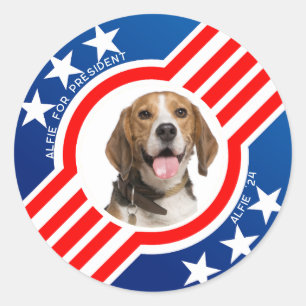 Sticker Rond Pet Dog for President Photo USA Elections 2024