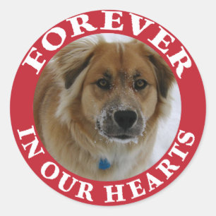 Sticker Rond Pet Memorial Forever