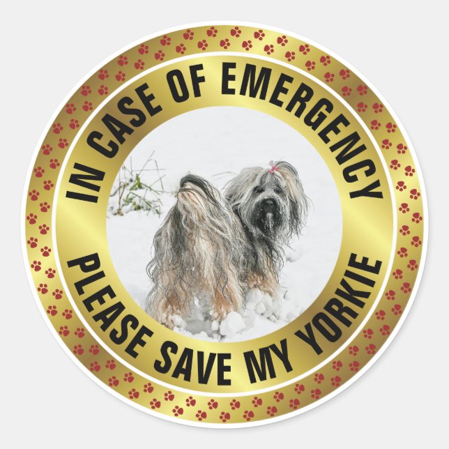 Sticker Rond Pet Safety Alert Custom First Responder Dog Photo (Devant)