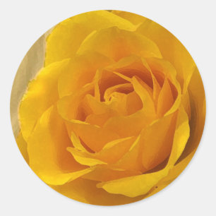 Sticker Rond Pétales de rose jaune