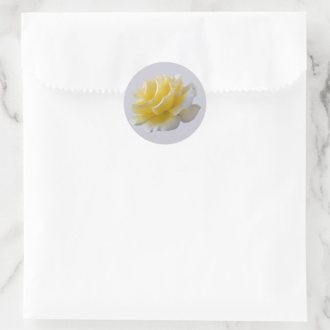 Sticker Rond Pétales de rose jaune (Sac)