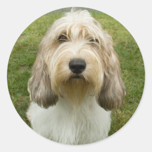 Sticker Rond Petit Basette Griffon Vendeen