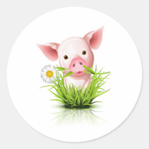 Sticker Rond Petit cochon rose dans l'herbe