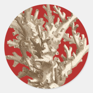 Sticker Rond Petit corail en rouge