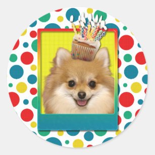 Sticker Rond Petit gâteau d'anniversaire - Pomeranian