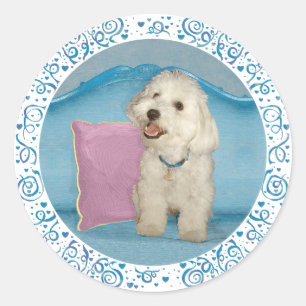 Sticker Rond Petit Havanais sur un canapé Turquoise