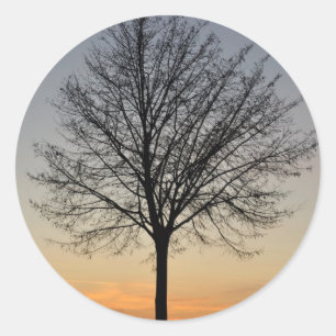Sticker Rond petit paysage de couchers de soleil, Baum Sonnenun